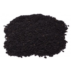 Nigella Sativa