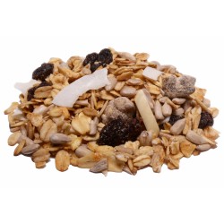 Granola Fruit and Nut