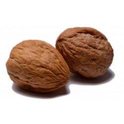 Walnuts in Shell