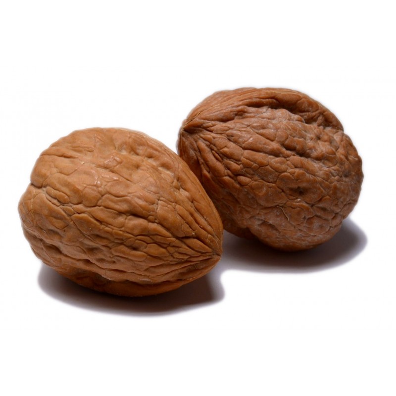 Walnuts in Shell
