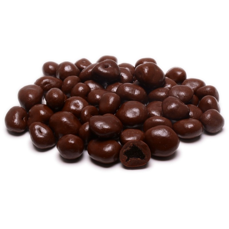 Raisins in No Sugar Added Chocolate