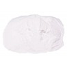 Inulin Powder