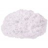 Beta Cyclodextrin