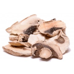 Button Mushroom Sliced