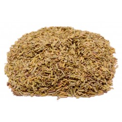 Rosemary Herb
