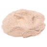 White Pepper Ground Spice