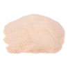 Onion Granulated Spice
