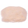 Onion Salt Spice