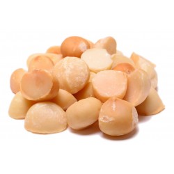 Roasted No Salt Macadamias