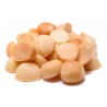Roasted No Salt Macadamias