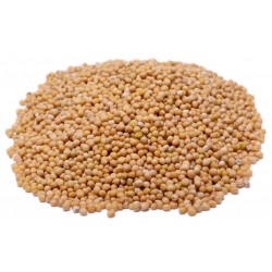 Whole Yellow Mustard Seeds