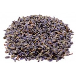 Lavender Flower Herbal