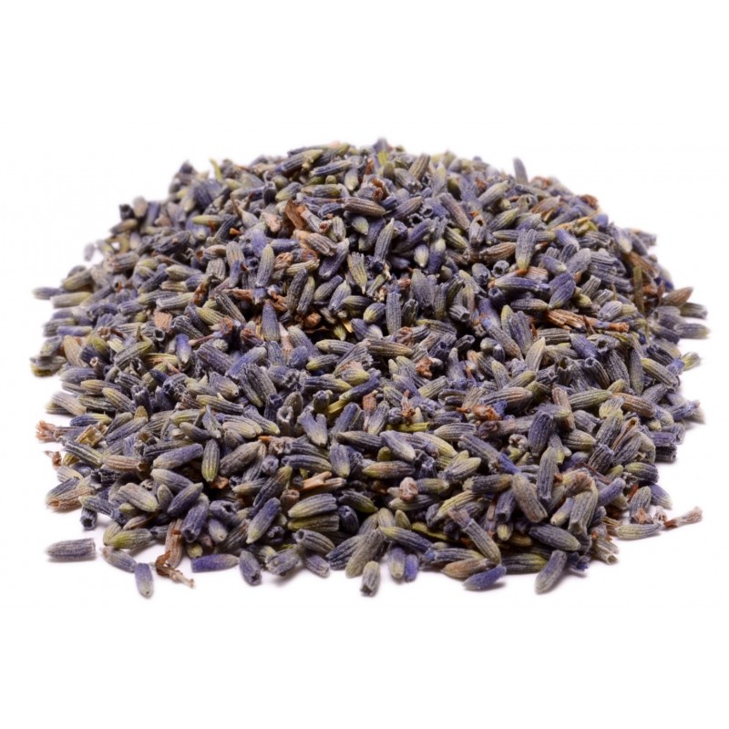 Lavender Flower Herbal