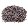 Lavender Flower Herbal