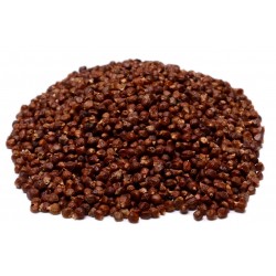 Grains of Paradise