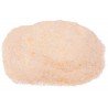 Garlic Salt Spice