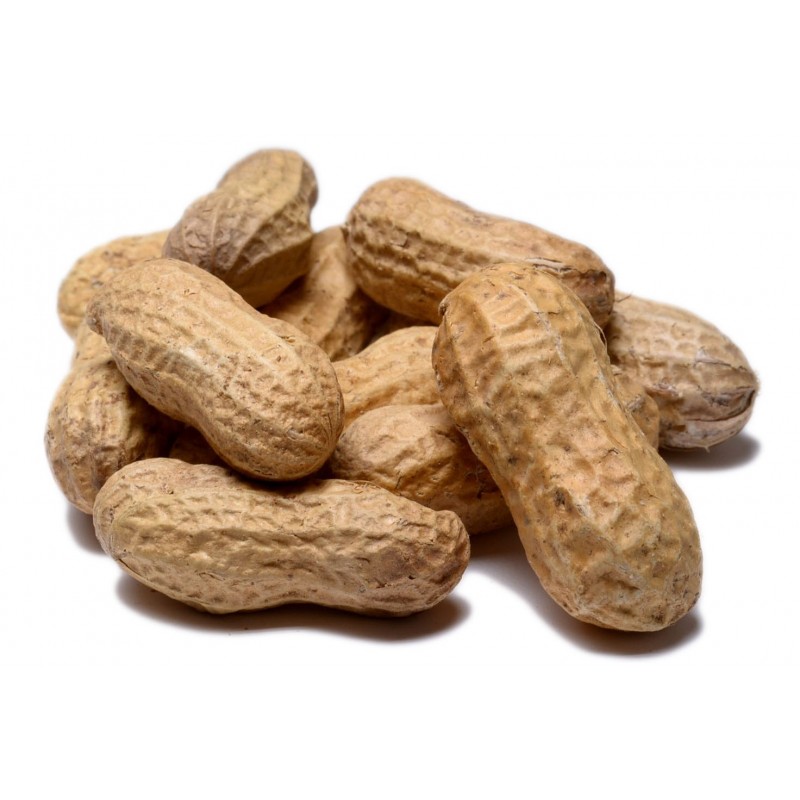 In Shell Peanuts Roasted No Salt