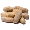 In Shell Peanuts Roasted and Salted