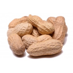 Peanuts in Shell Raw