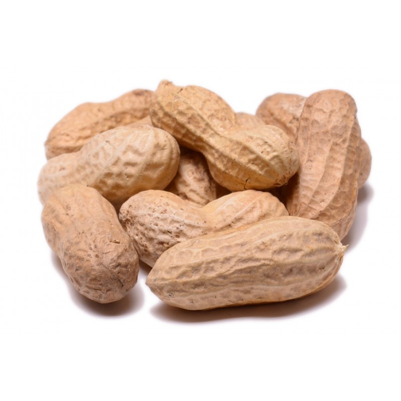 Peanuts in Shell Raw
