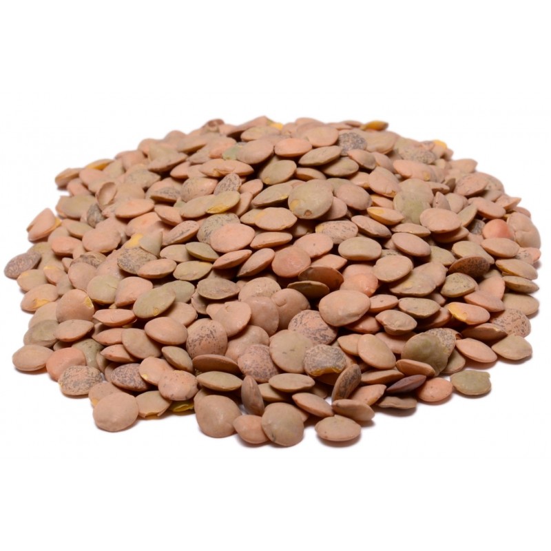 Lentils Green