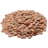 Lentils Green