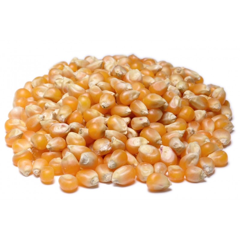Popcorn Yellow