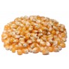 Popcorn Yellow