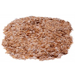 Wheat Bran