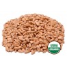 Organic Hard Wheat Kernels