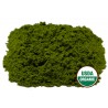 Wheat Grass Juice Powder Organic