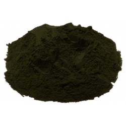Chlorella Powder